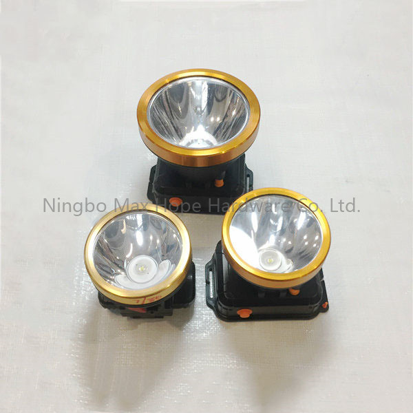 MLF0004
